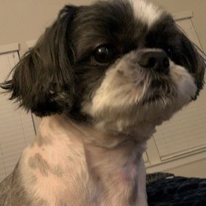 Meet your Posher, Jesse